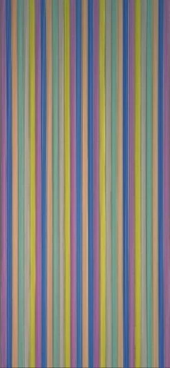 Vliegengordijn Pvc Zwaar Kleuren 90x200cm -Gordijn Promotie Winkel 1979363106