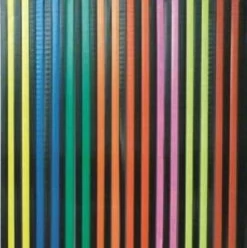 Vliegengordijn Stroken Gekleurd Met Zwart 90x200cm