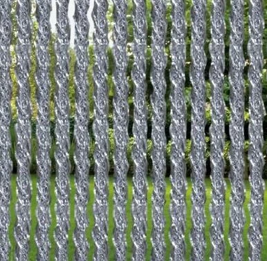 Vliegengordijn Orchidea 100x240cm (transparant) 4 Vliegengordijn Orchidea 100x240cm (transparant) - Afbeelding 2