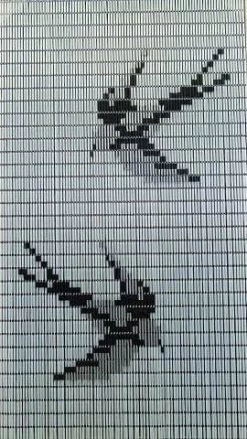 Vliegengordijn Zwaluwen Hulzen Transparant 90x210cm