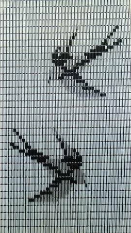 Vliegengordijn Zwaluwen Hulzen Transparant 90x210cm 3 Vliegengordijn Zwaluwen Hulzen Transparant 90x210cm